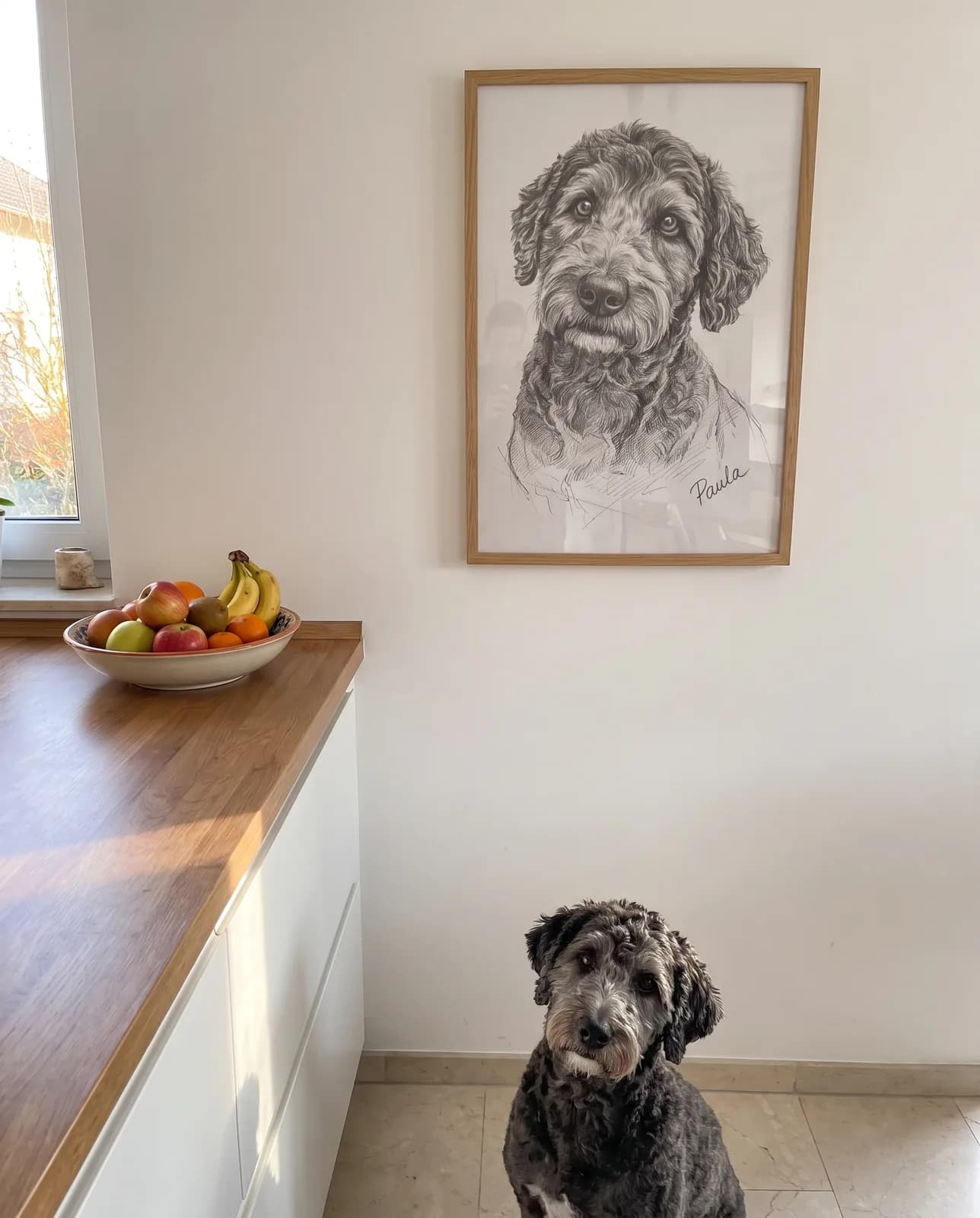Bleistiftzeichnung Hundeportrait im Holzrahmen an der Küchenwand — der Doodle sitzt darunter