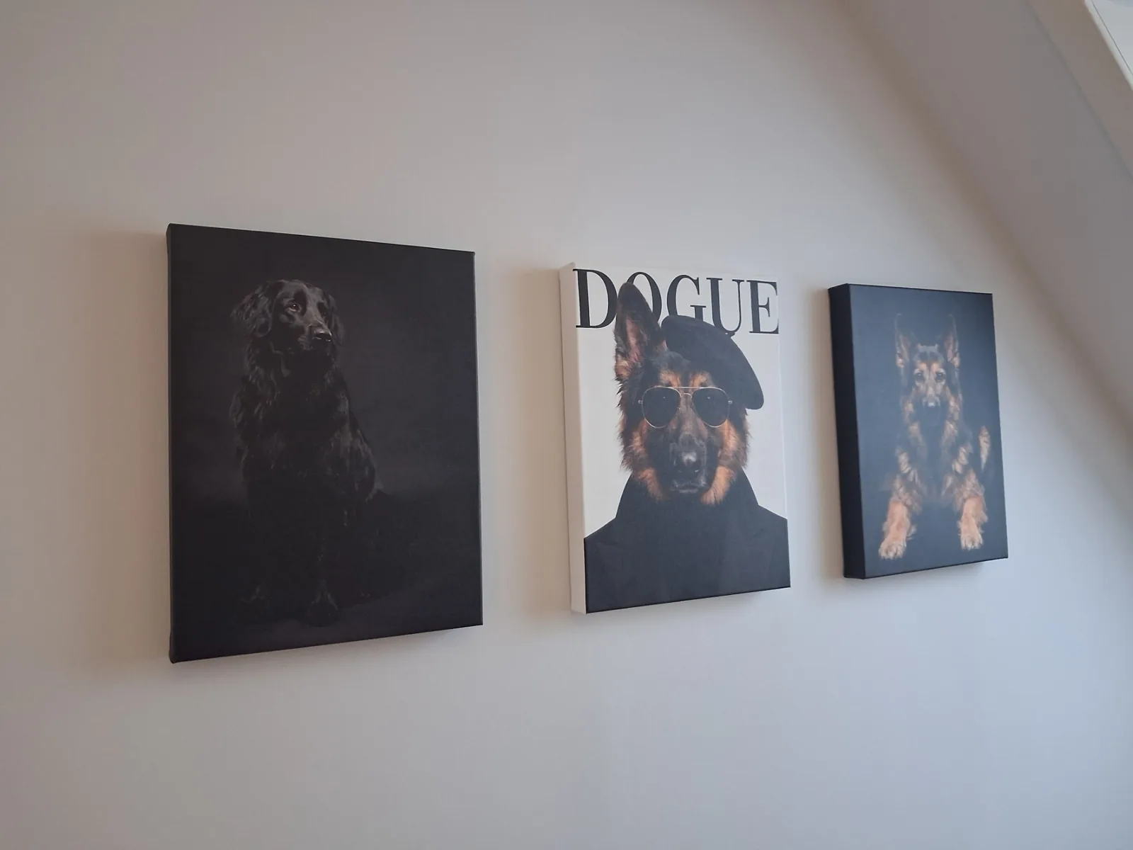 Drei KI-Hundeportraits als Leinwand an der Wohnzimmerwand einer Kundin — Schäferhunde im DOGUE- und Studio-Stil